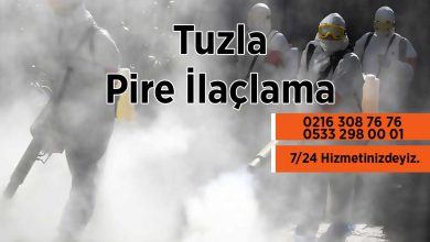 Tuzla Pire İlaçlama Şirketi